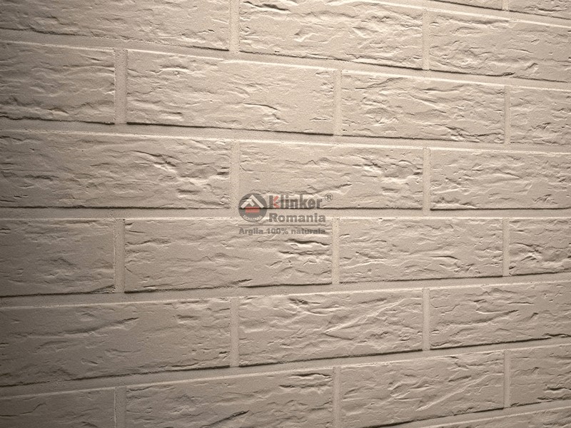 R840-01.jpg Caramida aparenta Klinker Argo Senso Clasic - imagine 1