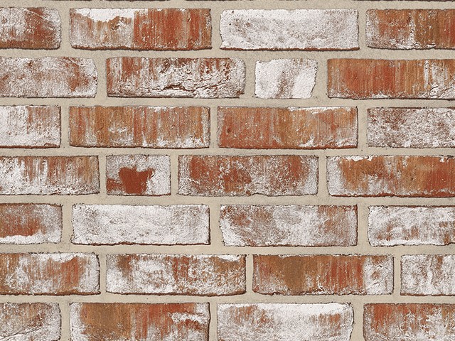 fr03-01.jpg Caramida Aparenta Rustica - imagine 1