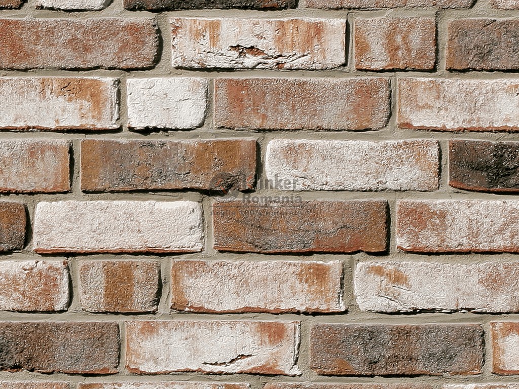 fr04-01.jpg Caramida Aparenta Rustica - imagine 1