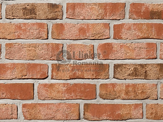 fr05-01.jpg Caramida Aparenta Rustica - imagine 1