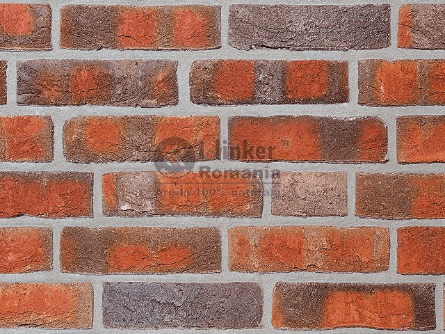 fr08-01.jpg Caramida Aparenta Rustica - imagine 1